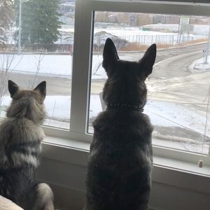 Meet your Posher, Gary